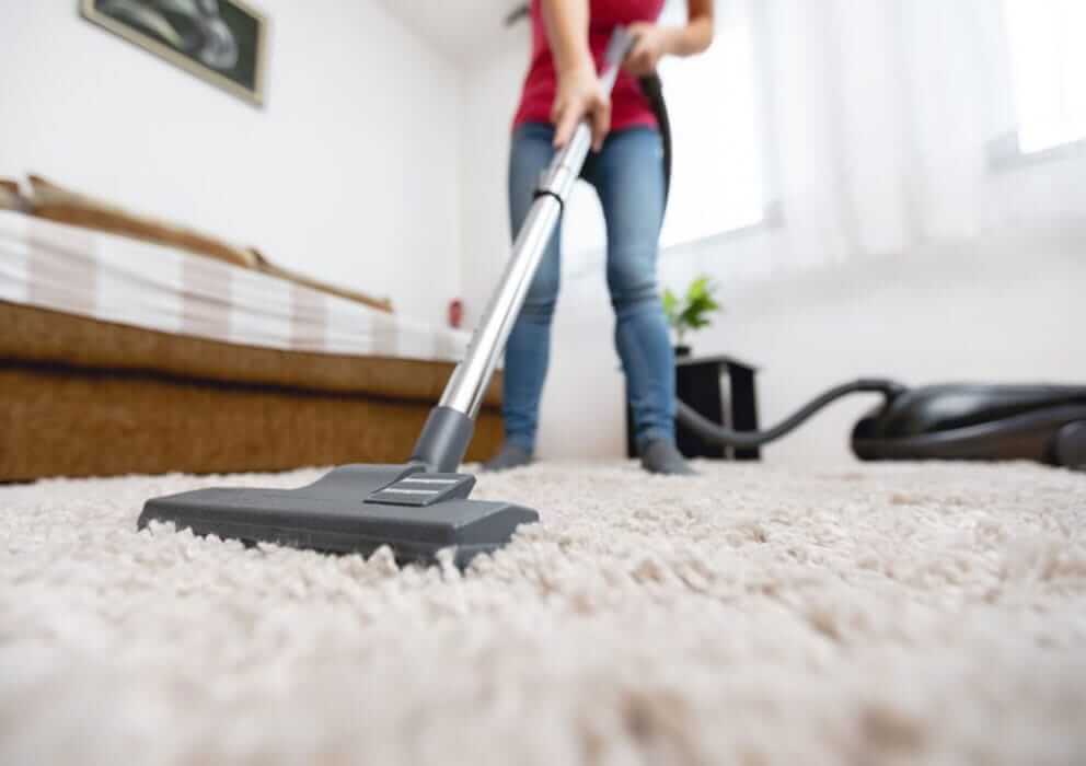 Carpet Cleaning Fort Collins