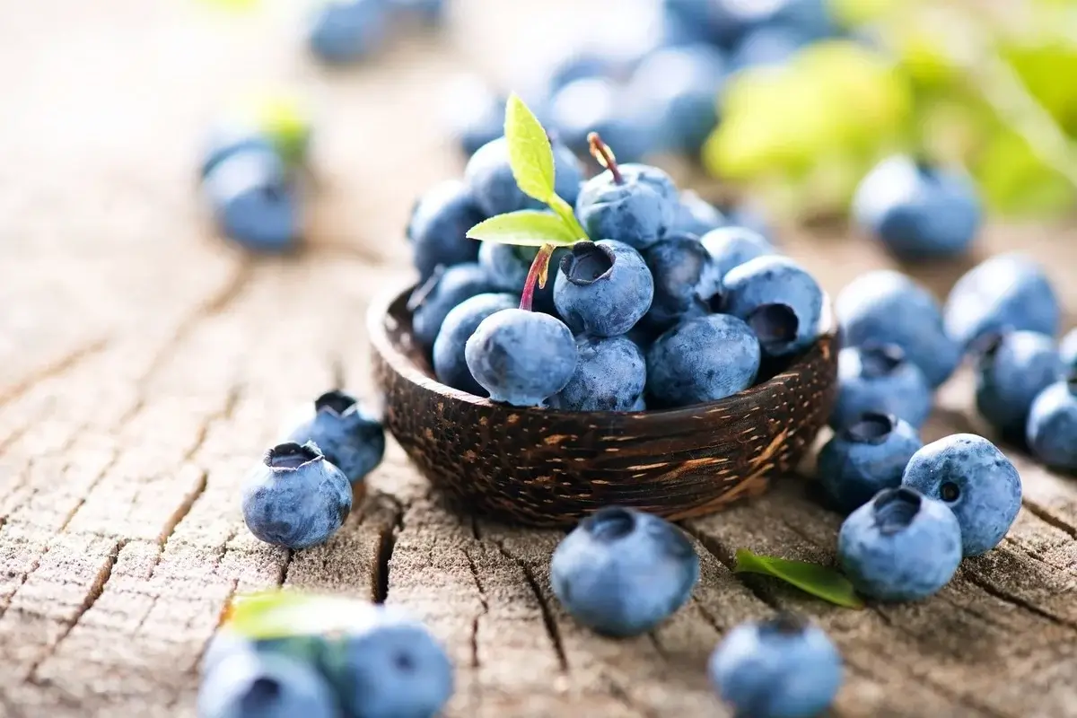 What Are the Benefits of Blueberries?