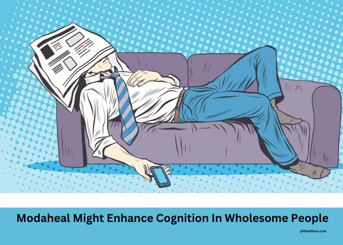 Modaheal Might Enhance Cognition In Wholesome People